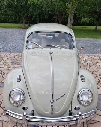 Volkswagen Garbus cena 134000 przebieg: 250, rok produkcji 1962 z Łuków małe 781